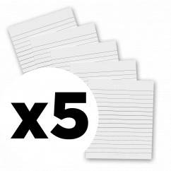 5 Pack - 4 x 4.75 Notepads